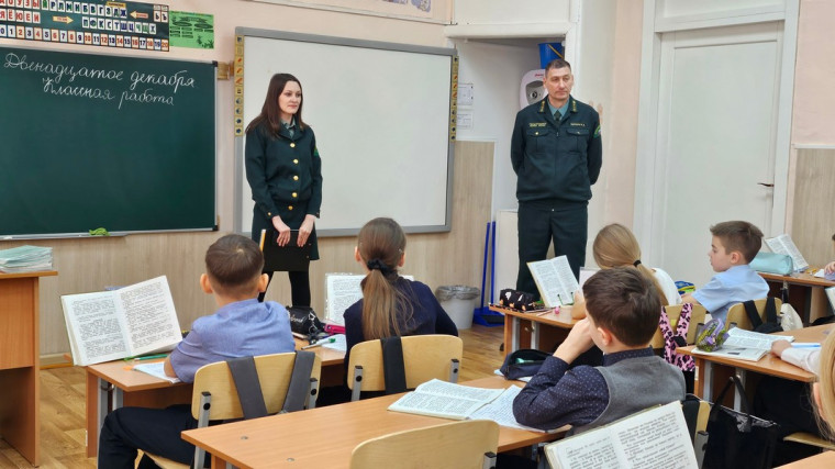 Сохранение хвойных лесов: важность и правила украшения новогодних елок.